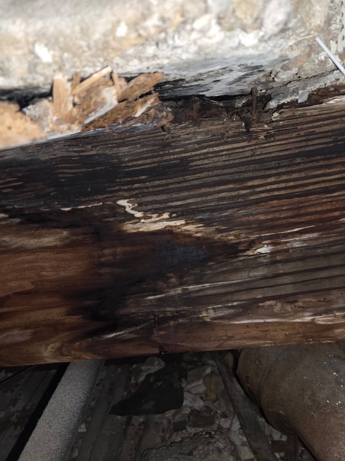 Floor joist under a bathtub, dark with rot, exposed after the tub came out